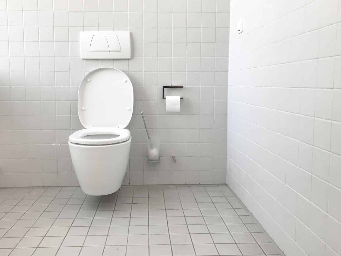 Toilet Care Conyers GA